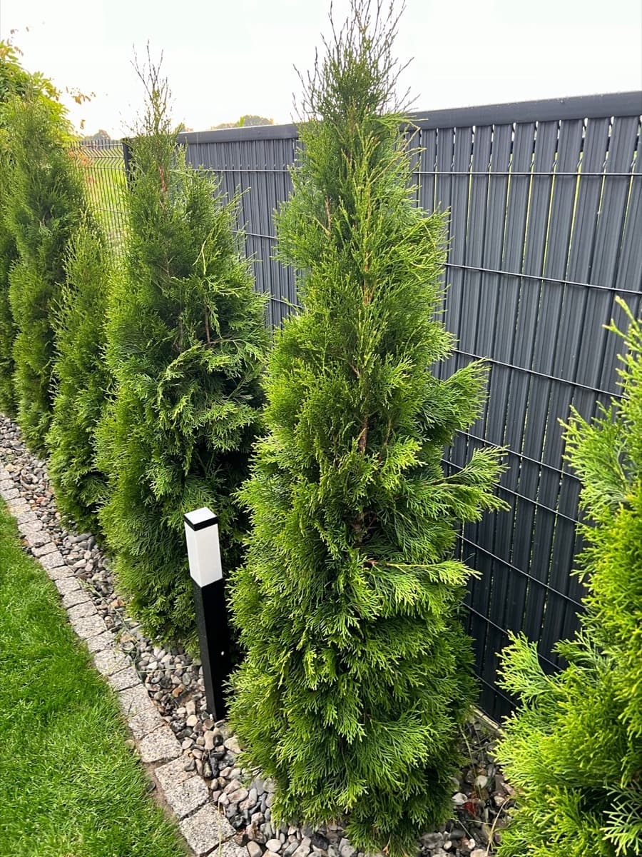 Realizacja ogrodzenia - Szary